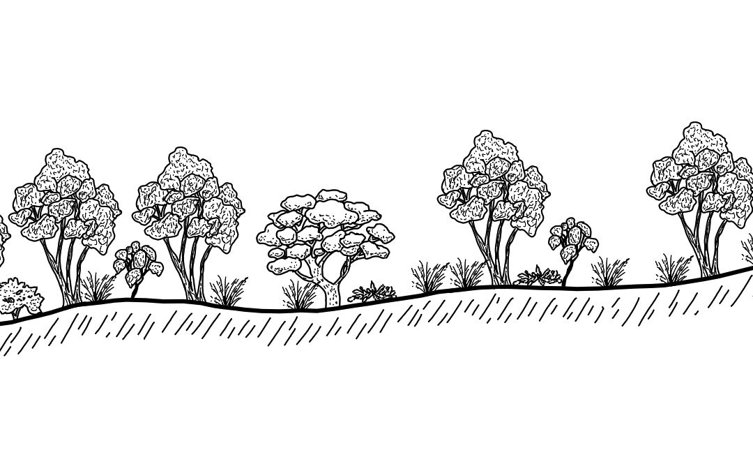 Albury District