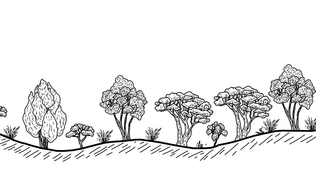 Bowna – Jindera District