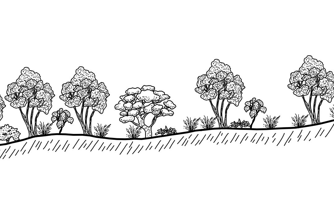 Majors Creek