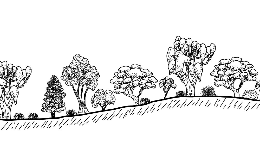Urana – Rand – Corowa Region