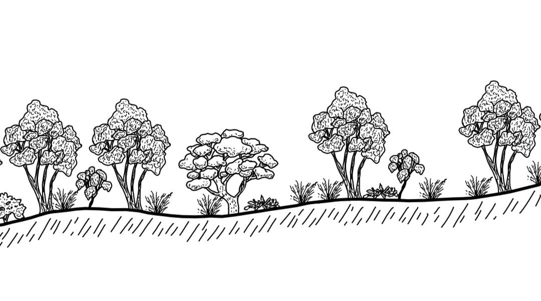 Ardenside – Welaregang