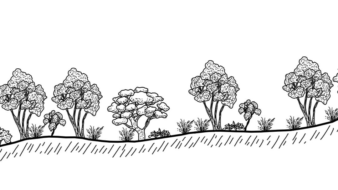 Bringenbrong – Khancoban District