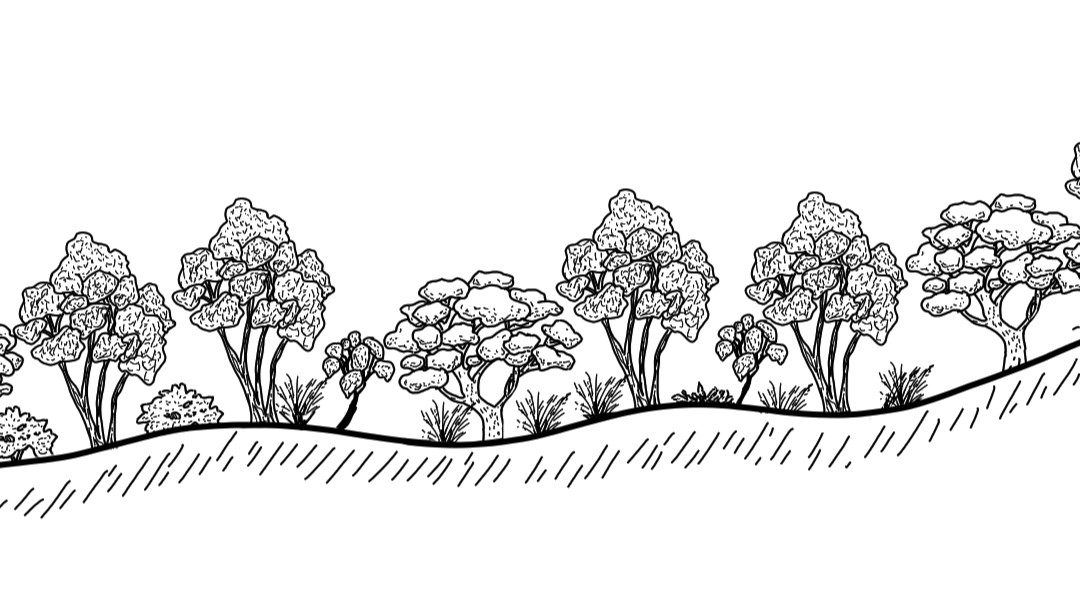 Brungle and Killimicat (Brungle. to Tumorrama)