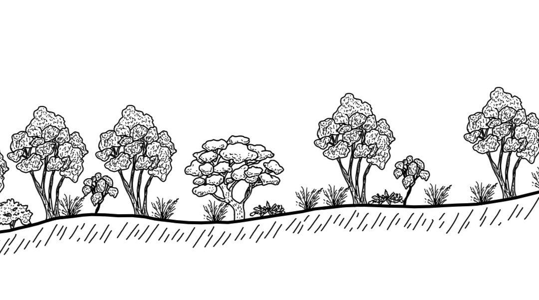 Greenhills and Upper Tarcutta