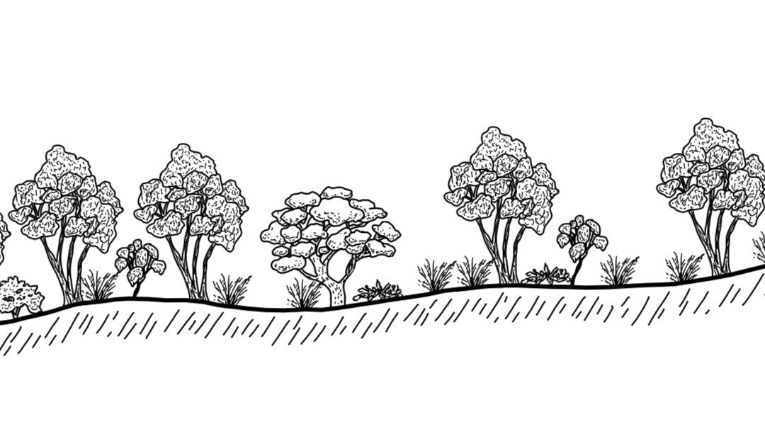 Keajura