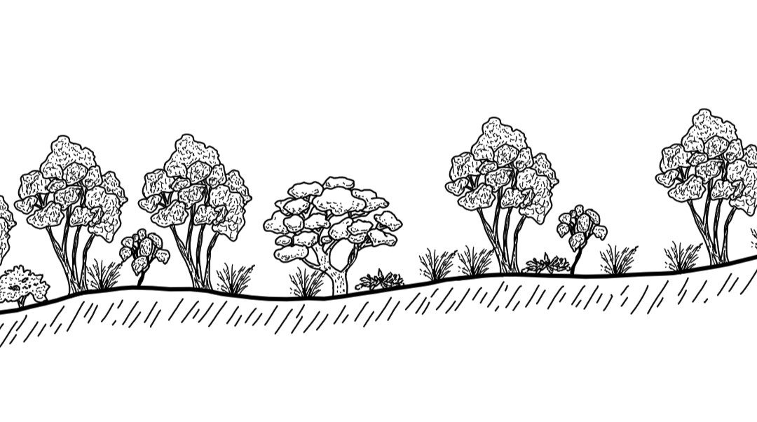 Livingstone