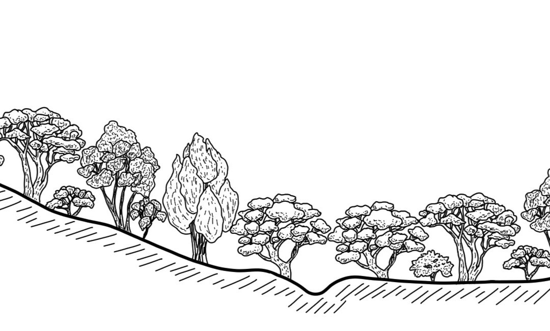 Lower Adelong