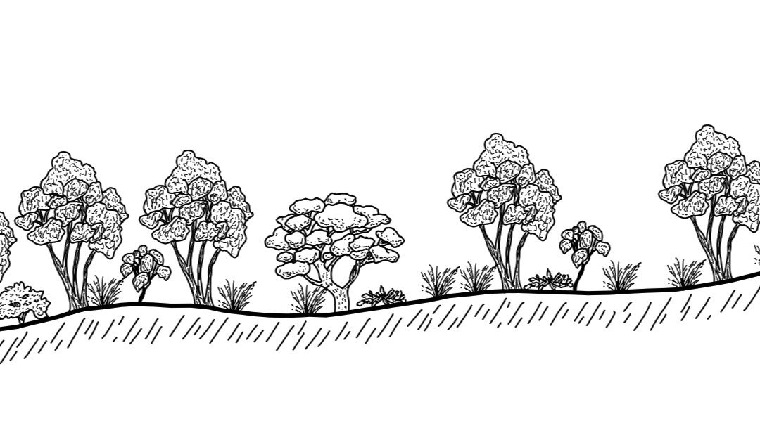 Mullengandra