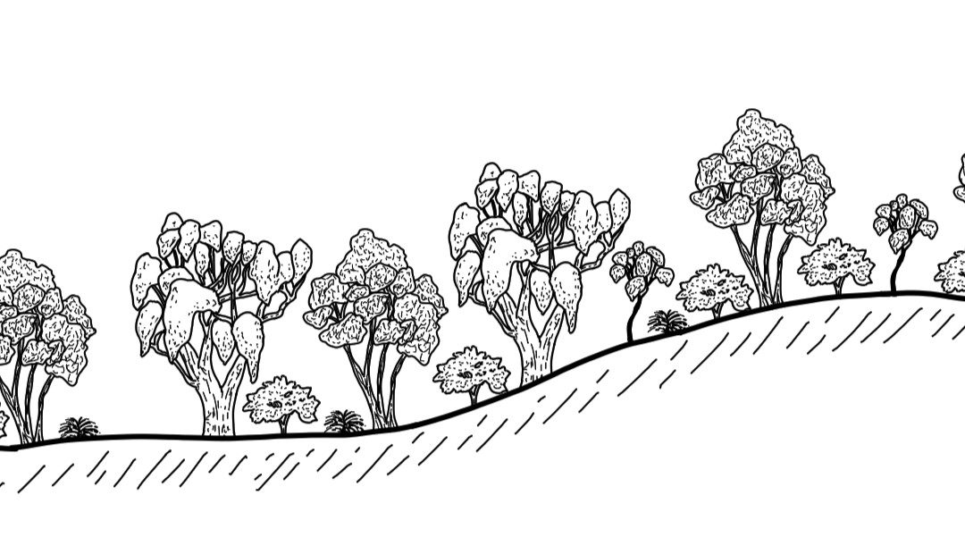 Paddy’s River – Burra Valley