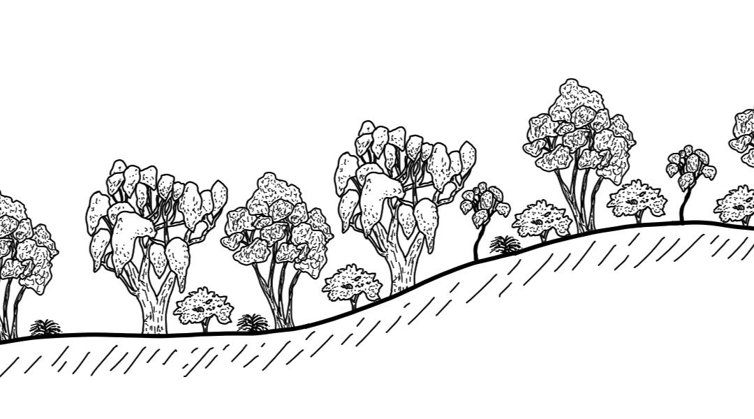 Rosewood Plateau