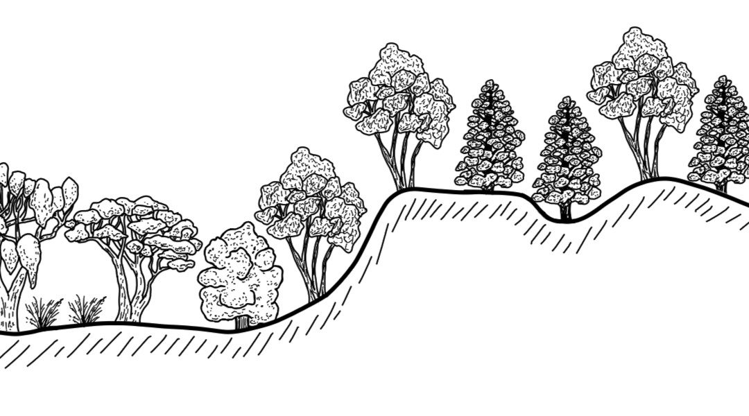 The Rock – Henty – Milbrulong Region