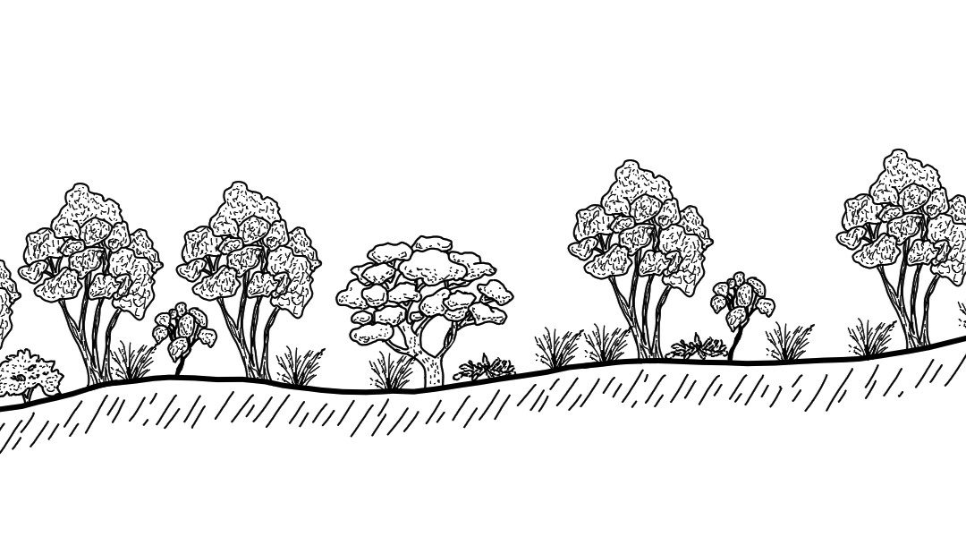 Umbango