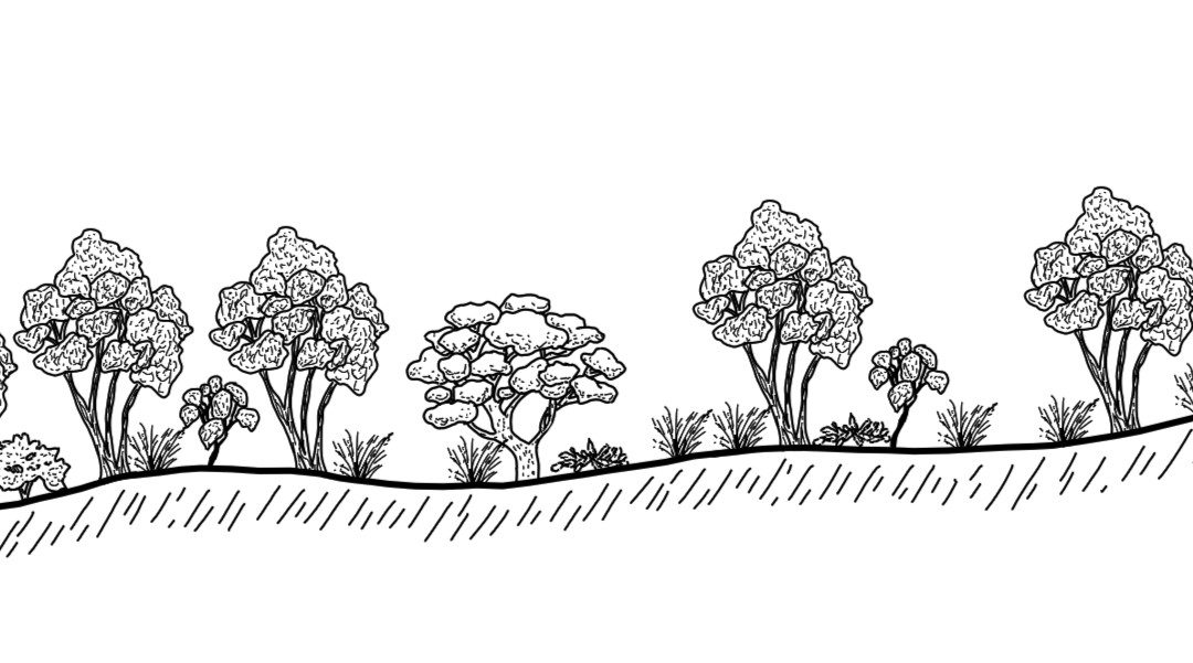 Upper Burkes