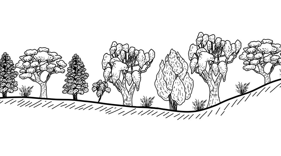 Upper Gilmore