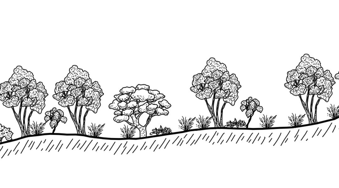 Upper Kyeamba