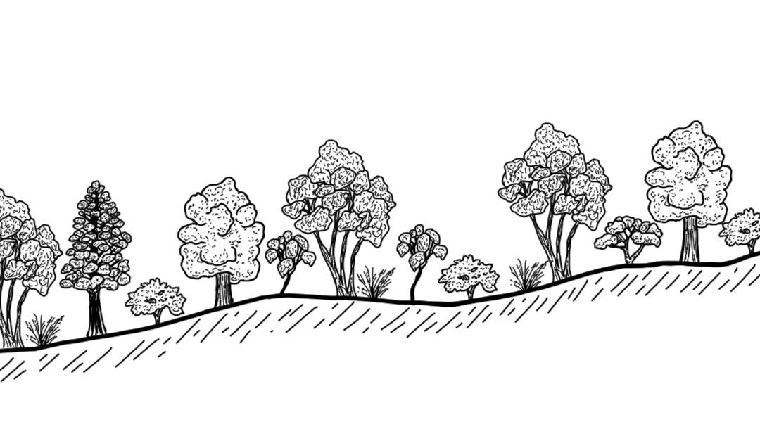 Yambla District
