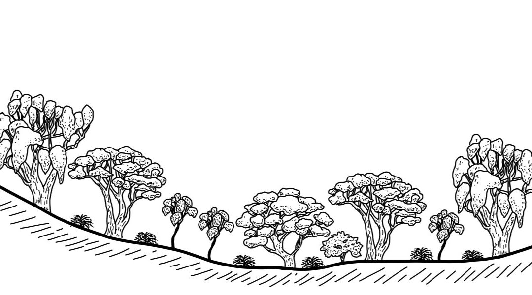 Yaven Creek (Nacki Nacki & Lower Yaven)