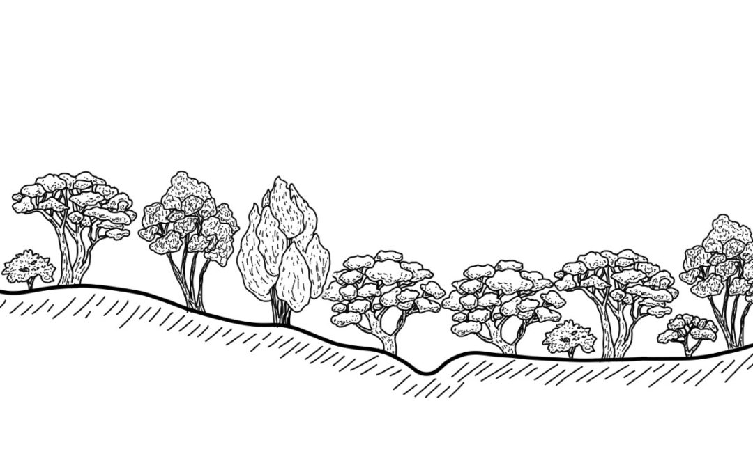 Boorowa River