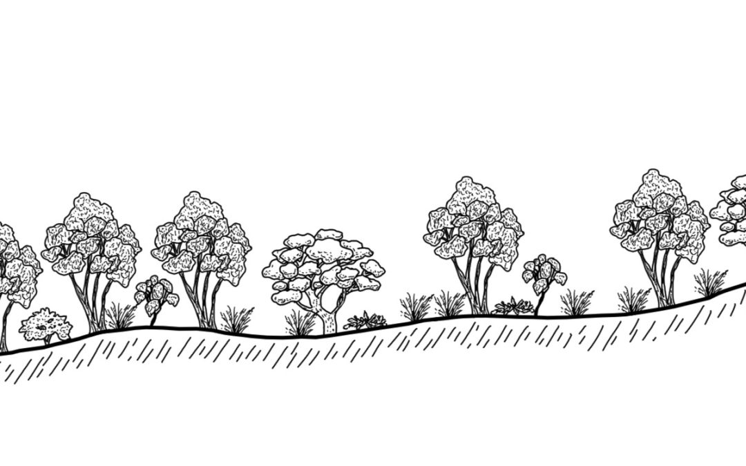 Boorowa Flats – Rocky Ponds Creek