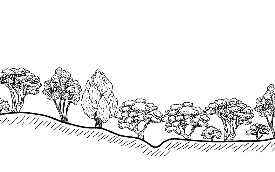 Bramah Creek