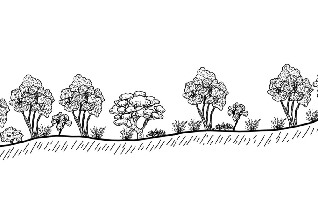 Cunningham – Demondrille Creek
