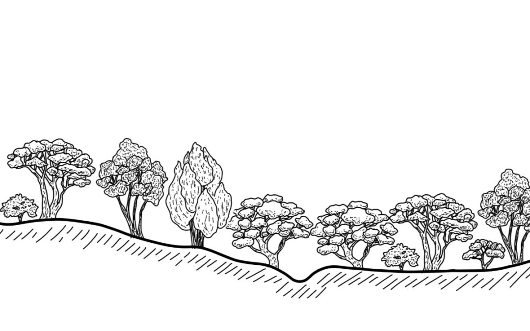 Grassy Creek