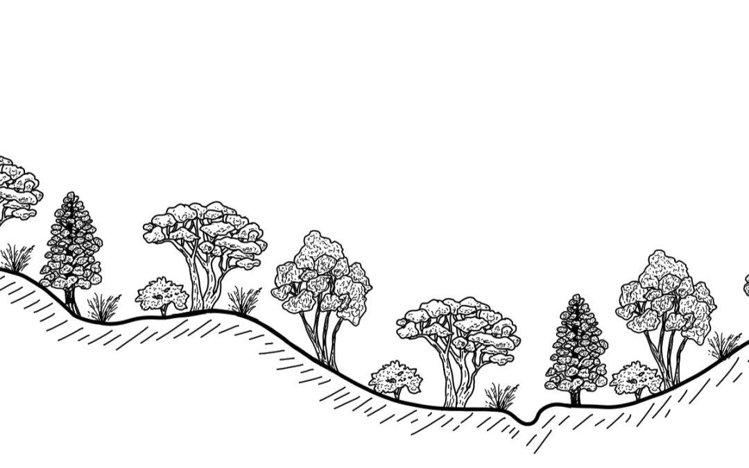 Hovells Creek