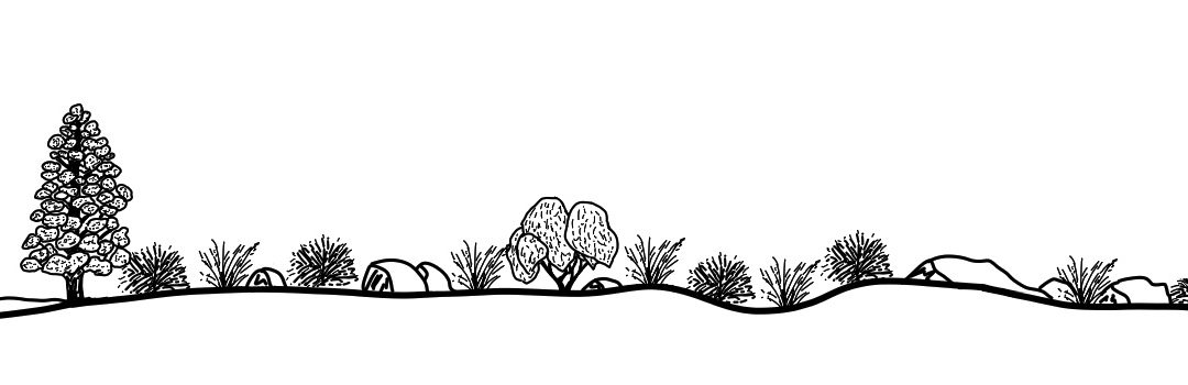 Mirrool Creek