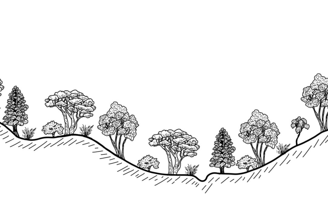 Muttama Creek
