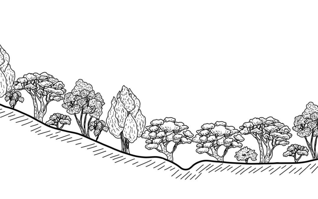 Pudmans Creek