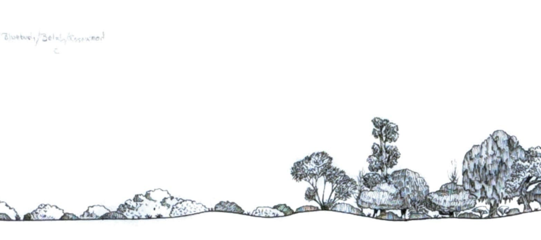 Booroorban (western)