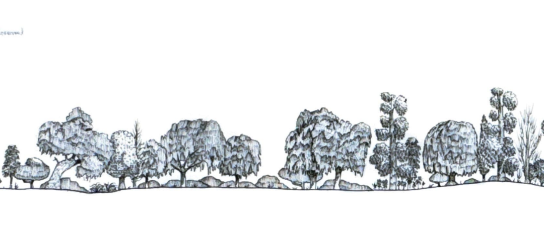 Carrathool (northern)