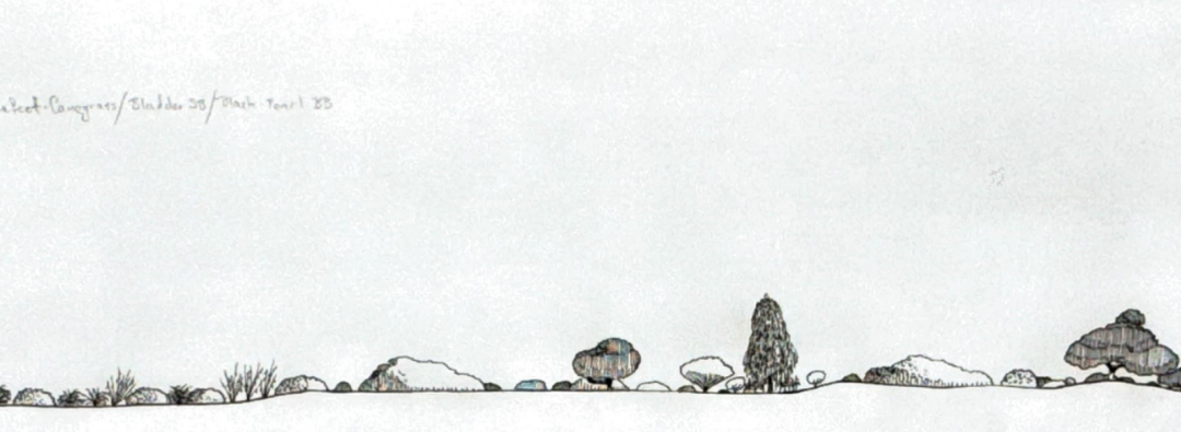 Conoble (western)