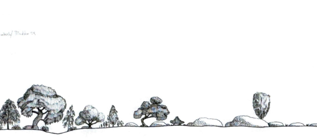 Lowbidgee 2