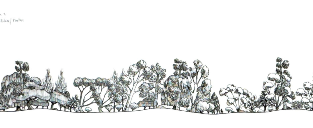 Merriwagga 2