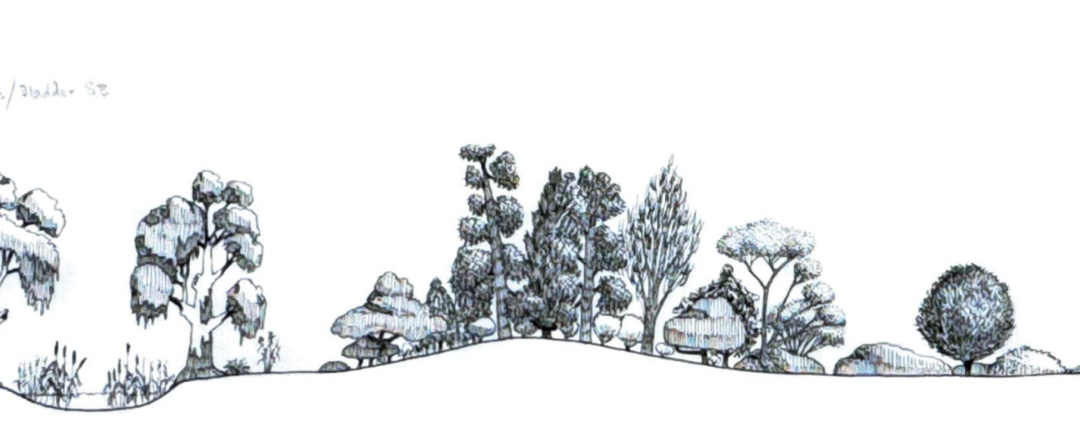 Murrakool (northern)