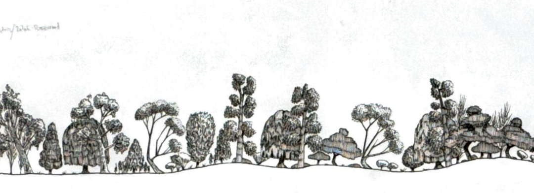 Roto (southern)