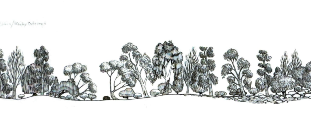 Roto (eastern)