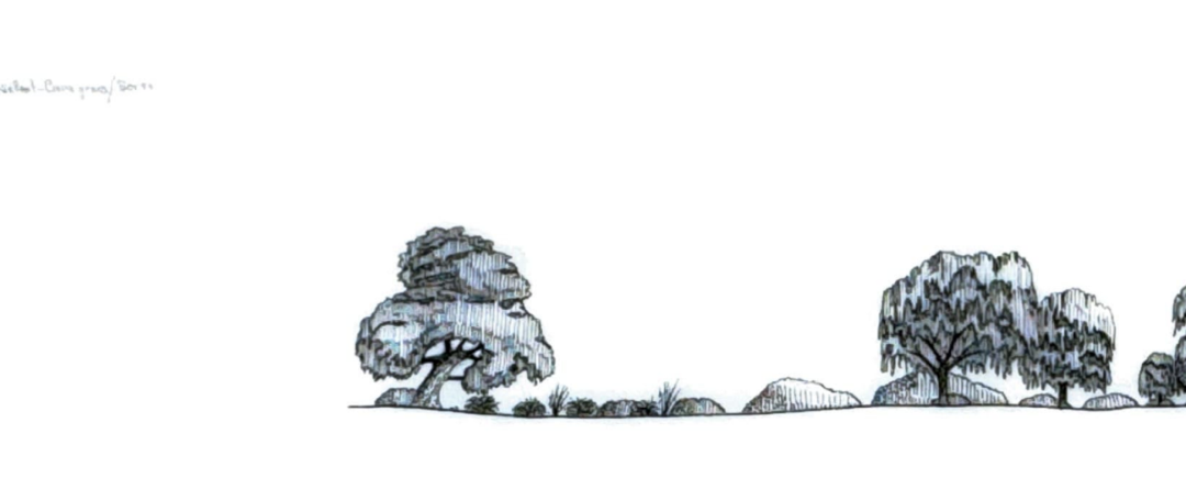 Savernake 4