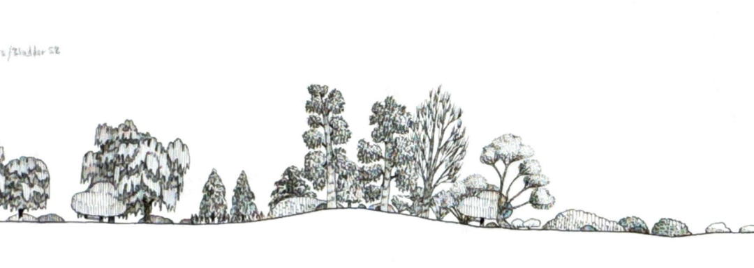 Wakool 3