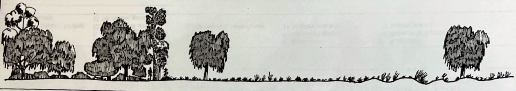 Coleambally (southern)