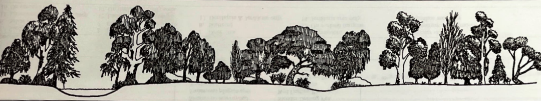 Cocoparra (northern)