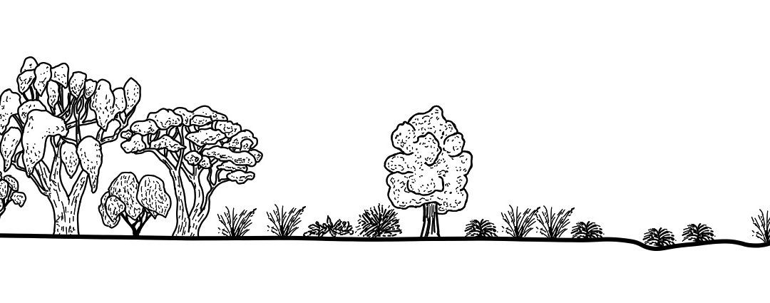 Berriquin (northern)