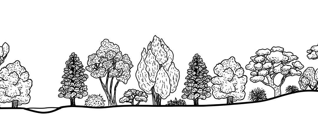 Berriquin (southern)