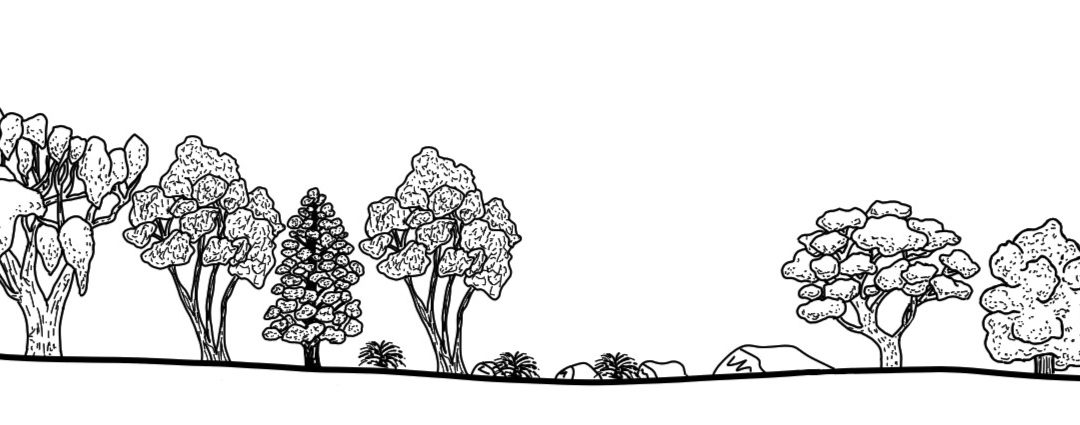 Savernake